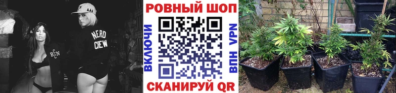 Где купить наркоту Луховицы Alpha-PVP Меф Галлюциногенные грибы МДМА Конопля Кокаин