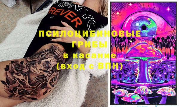 сатива Вяземский