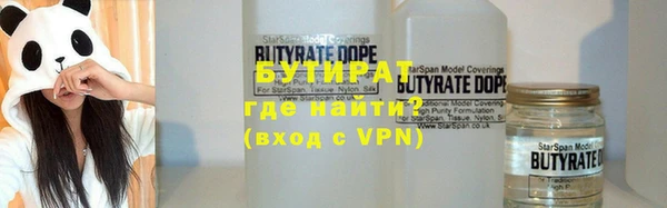 сатива Вяземский
